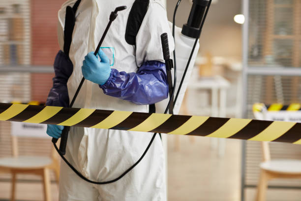 Professional Biohazard technician working in Bath, MI